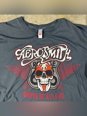 Vintage Aerosmith T-Shirt Large American Apparel 2000s Route of All Evil Tour